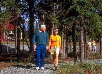 Copper River Princess Wilderness Lodge Copper Center Εξωτερικό φωτογραφία